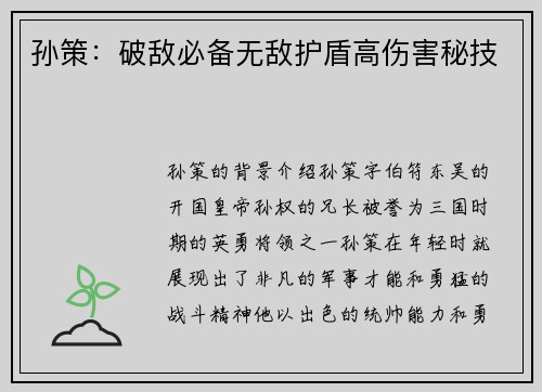 孙策：破敌必备无敌护盾高伤害秘技